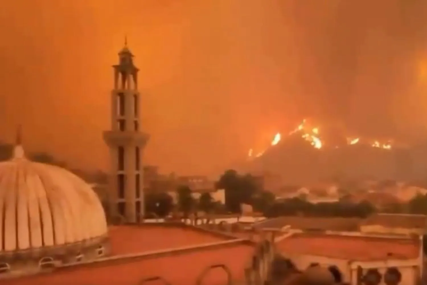 In questo Paese rischi la pena di morte se appicchi un incendio boschivo