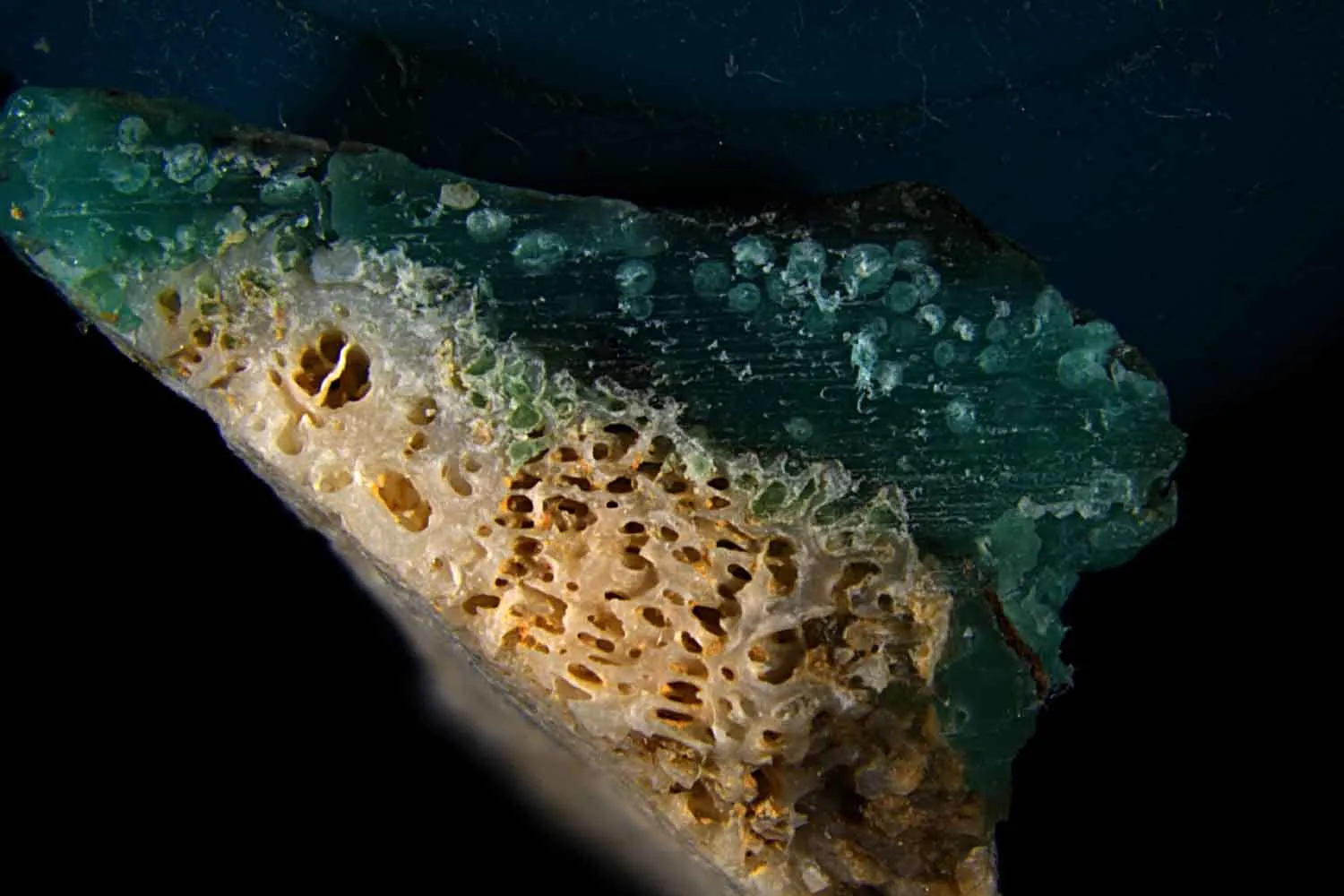 Gli scienziati si sono imbattuti nei "plasticoralli", frammenti di corallo fusi con la plastica che rappresentano una nuova forma di inquinamento