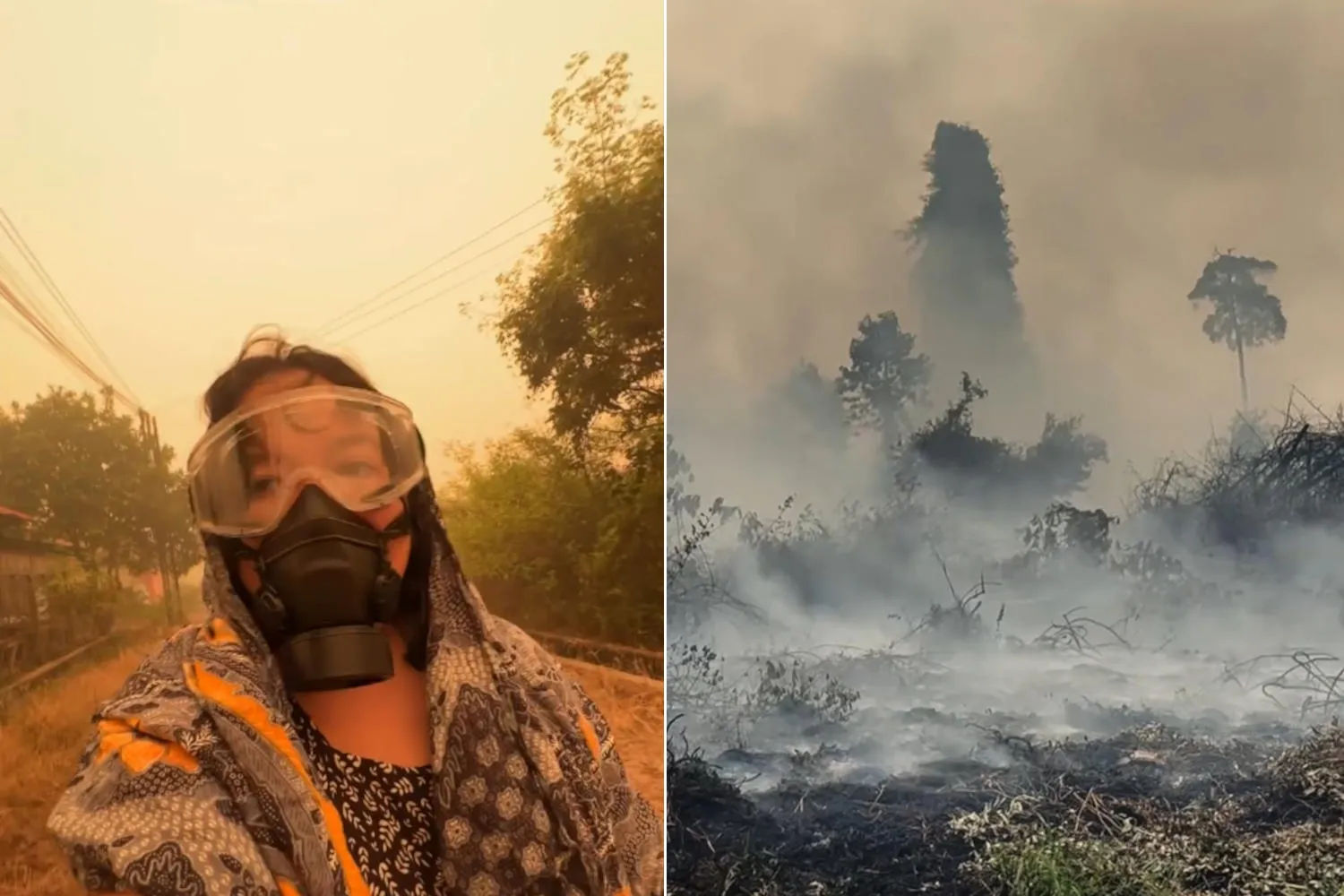 Sembra l'inferno, ma è il Borneo: devastanti incendi soffocano l'Indonesia (minacciando la sopravvivenza degli oranghi)